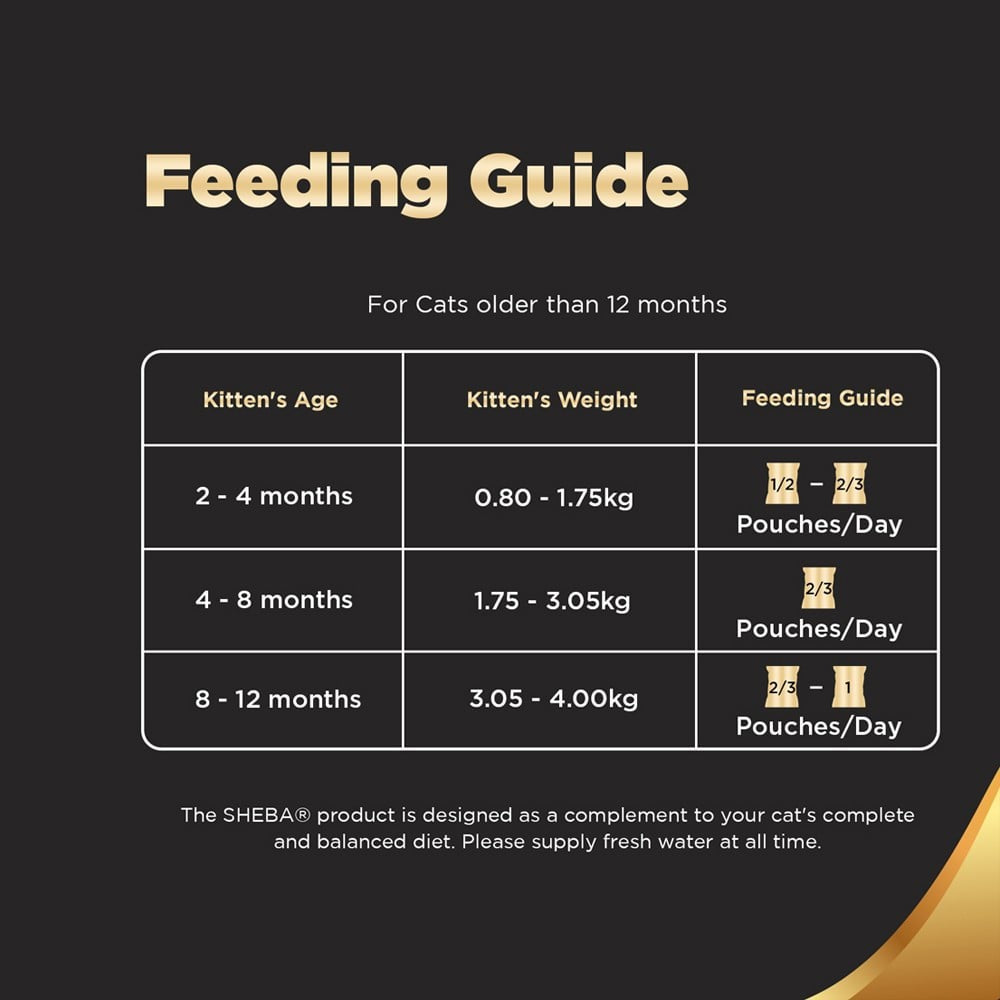 Sheba Premium Kitten Wet Wet Kitten Food, Chicken Loaf : 70 g
