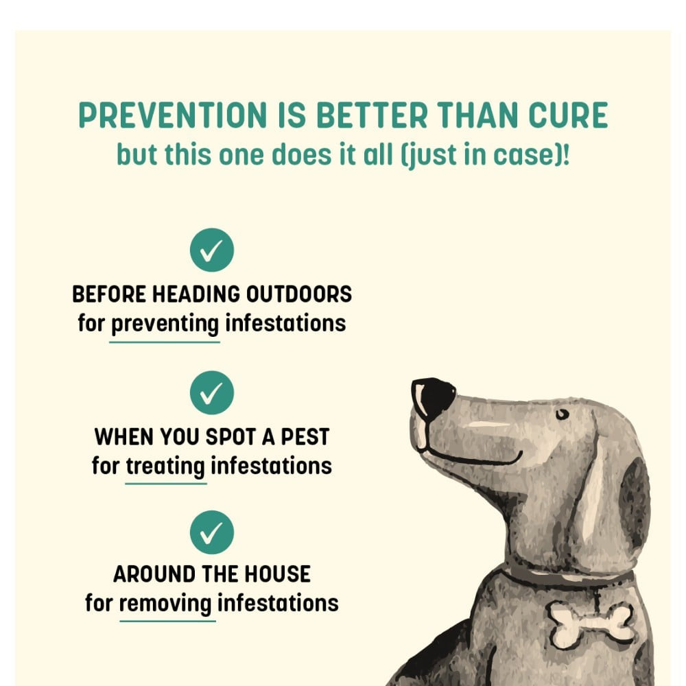 HUFT Anti Tick & Flea Pet Powder : 100 g