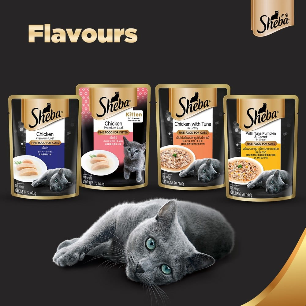 Sheba Adult Wet Cat Food, Chicken & Tuna In Gravy - Pack of 5 : 5 x 70 g
