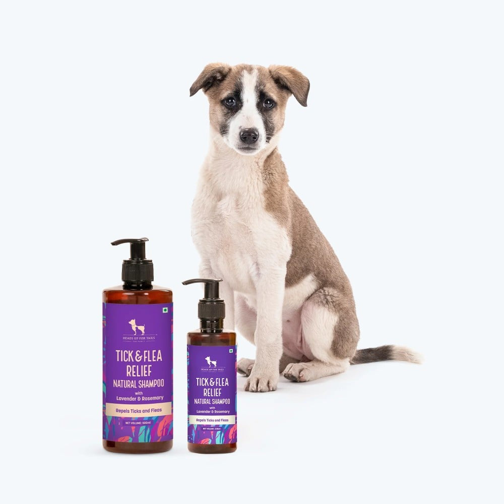 HUFT Tick & Flea Relief Natural Dog Shampoo (For Dogs Over 12 Weeks) : 500 ml