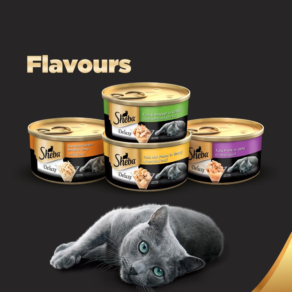 Sheba Deluxe - Tuna Fillets & Whole Prawn in Gravy Wet Cat Food : 85 g