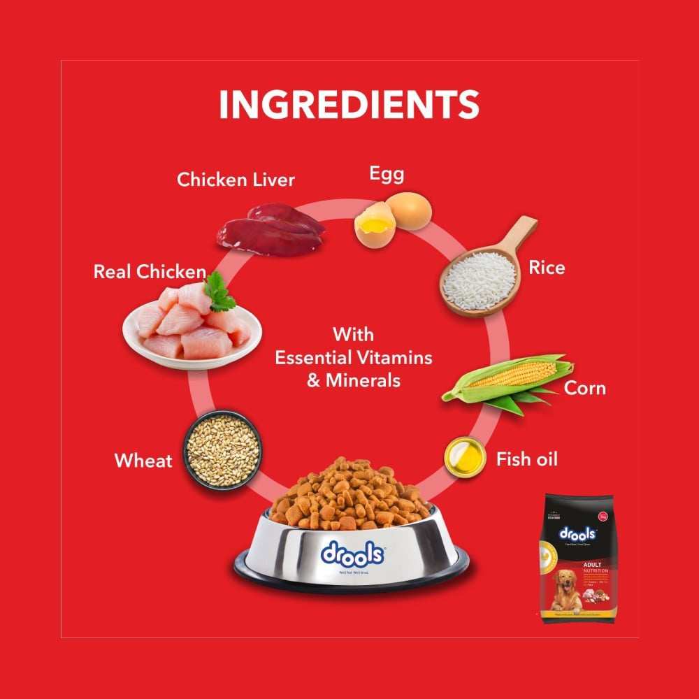 Drools Chicken & Egg Adult Dry Food - Free 1.2 kg : 3 kg + 1.2 kg