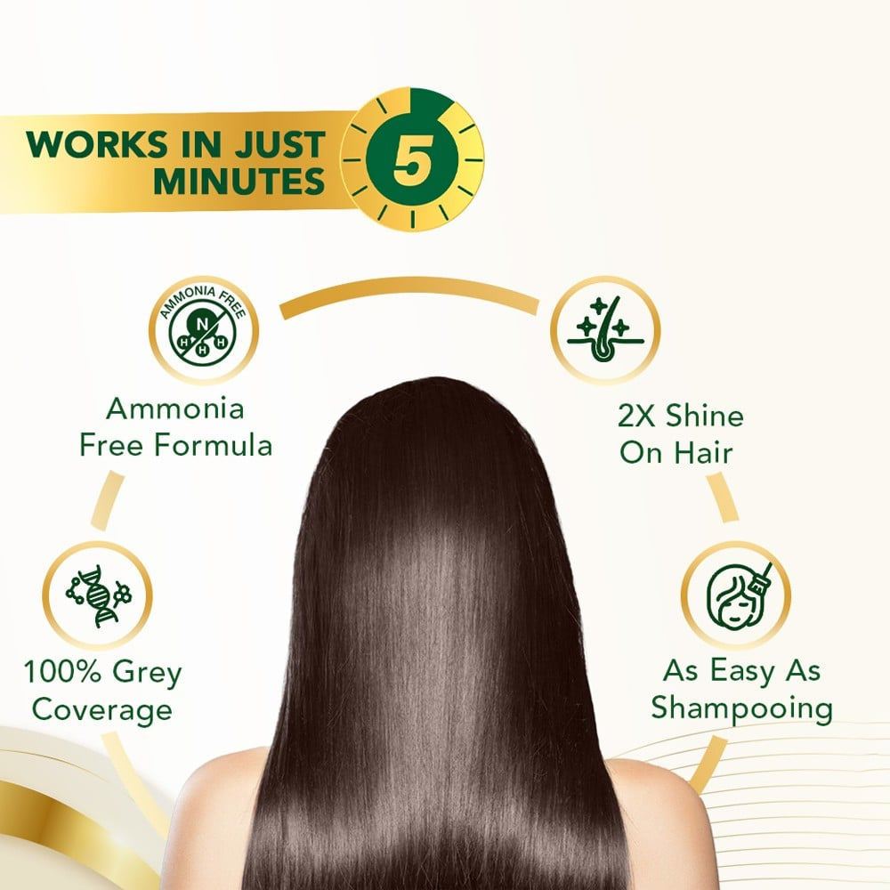 Streax Insta Shampoo Hair Colour (Brown) : 1 pack