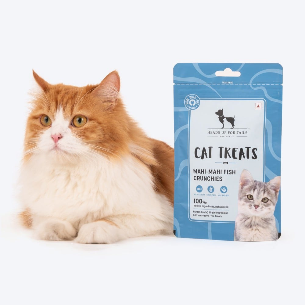 HUFT Mahi Mahi Fish Crunchies Crunchy Cat Treat - Pack of 4 : 4 x 35 g
