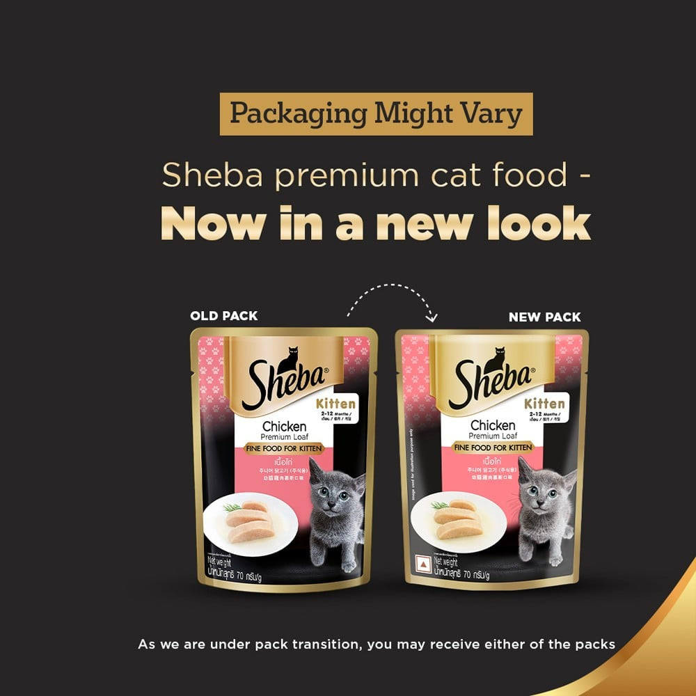 Sheba Premium Kitten Wet Wet Kitten Food, Chicken Loaf - Pack of 2 : 2 x 70 g