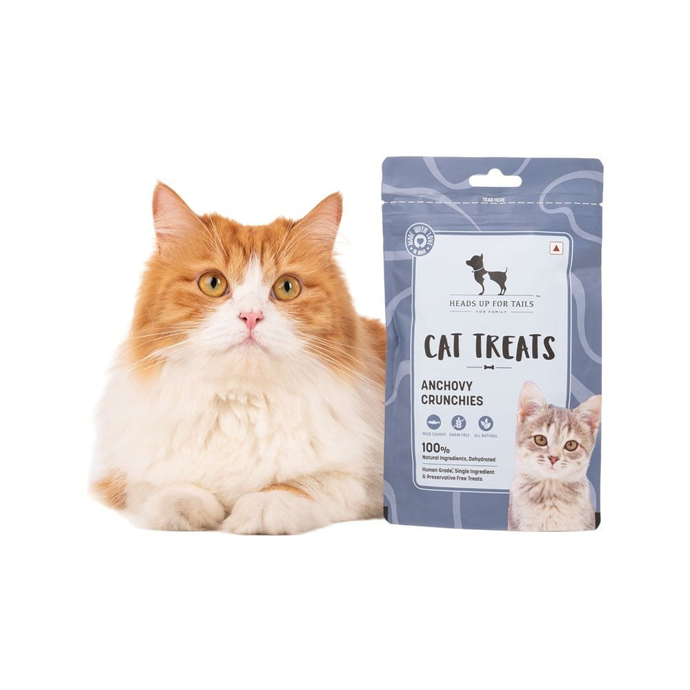 HUFT Anchovy Crunchies Crunchy Cat Treat - Pack of 2 : 2 x 35 g