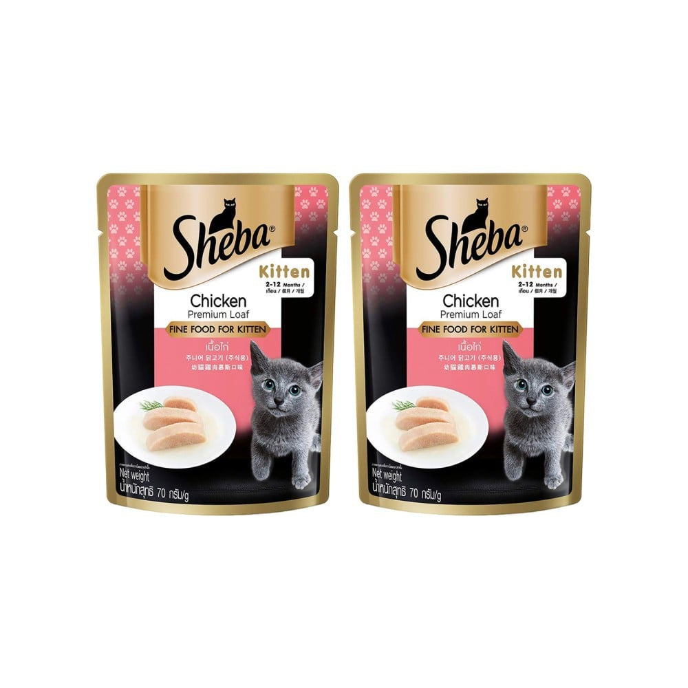 Sheba Premium Kitten Wet Wet Kitten Food, Chicken Loaf - Pack of 2 : 2 x 70 g