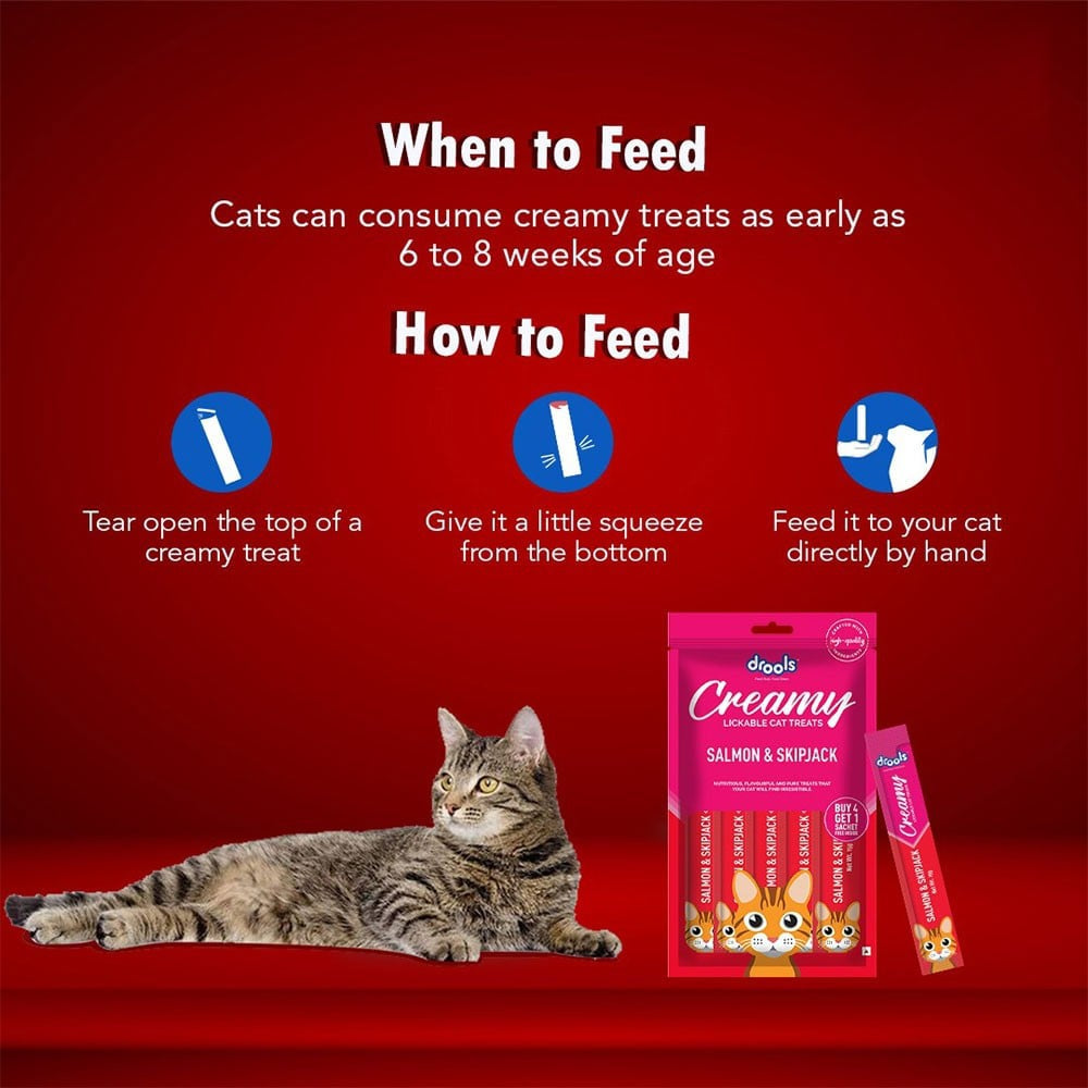 Drools Lickable Salmon & Skipjack Creamy Cat Treat : 75 g