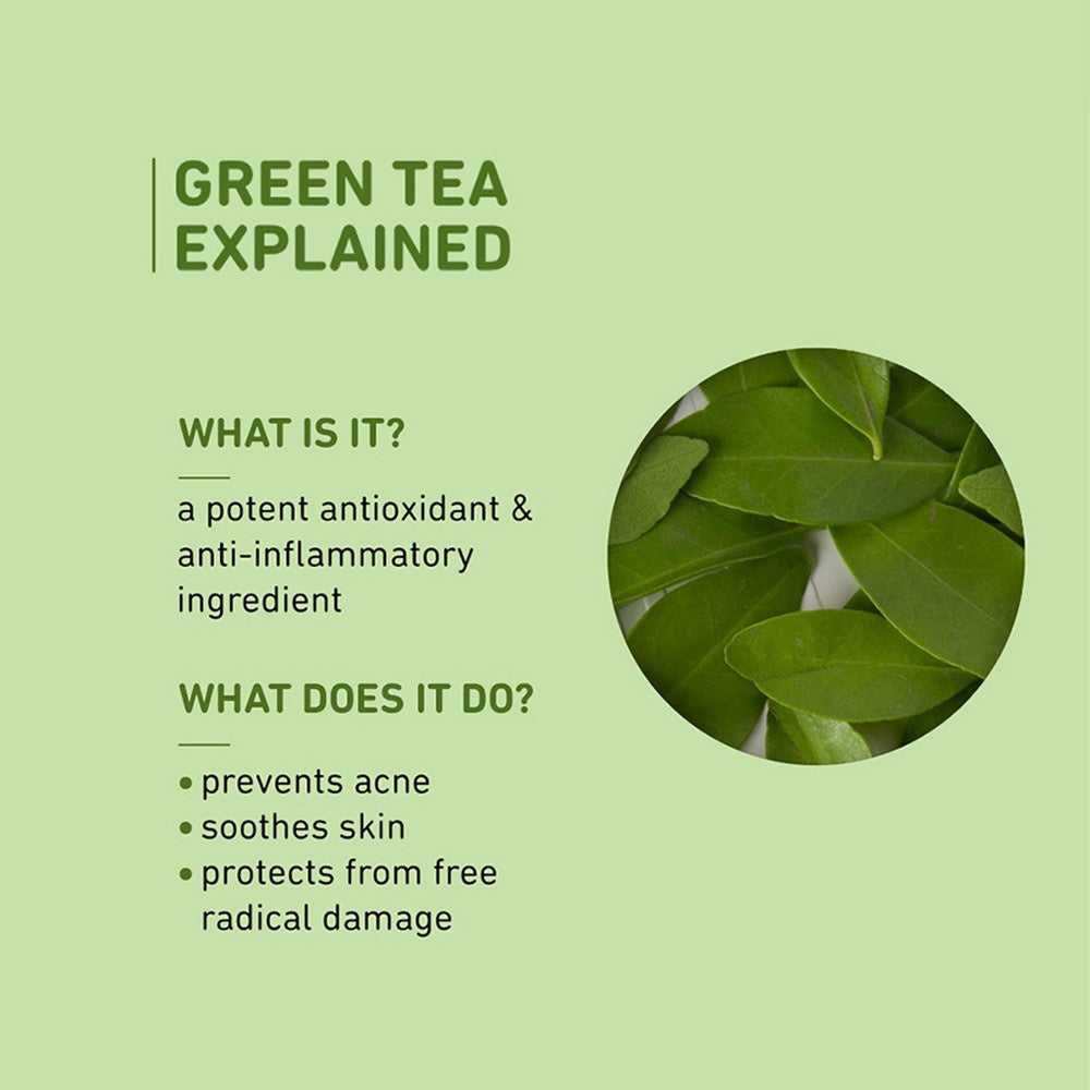 Plum Green Tea Oil & Fragrance Free Moisturizing Cream : 50 ml