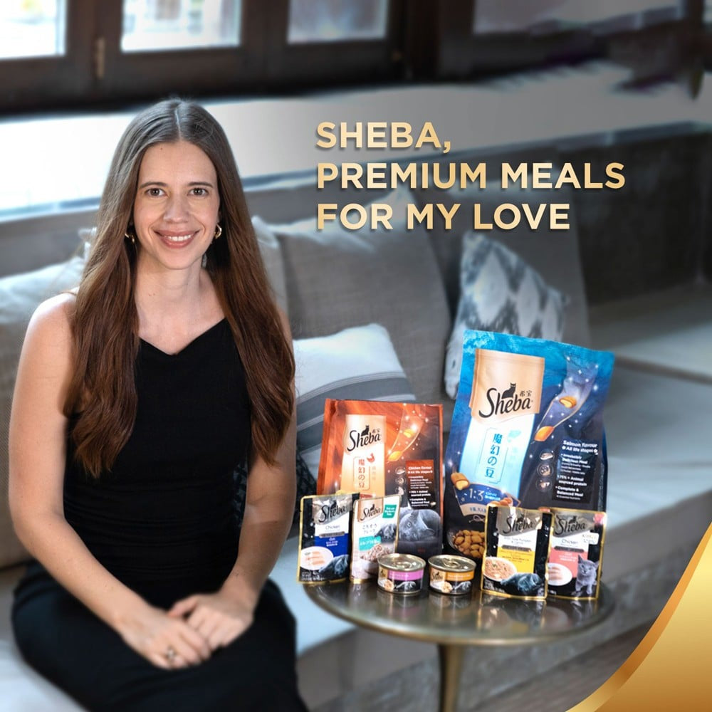 Sheba Premium Kitten Wet Wet Kitten Food, Chicken Loaf : 70 g