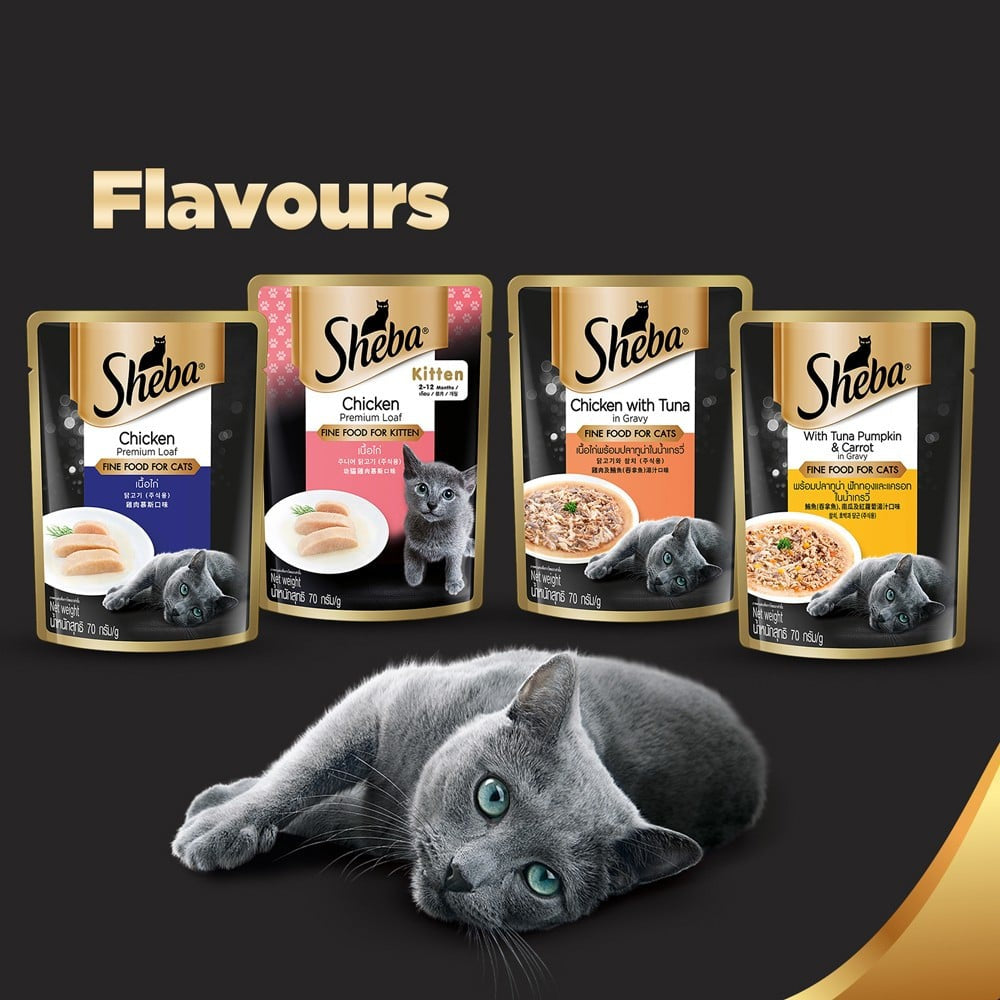 Sheba Premium Kitten Wet Wet Kitten Food, Chicken Loaf : 70 g