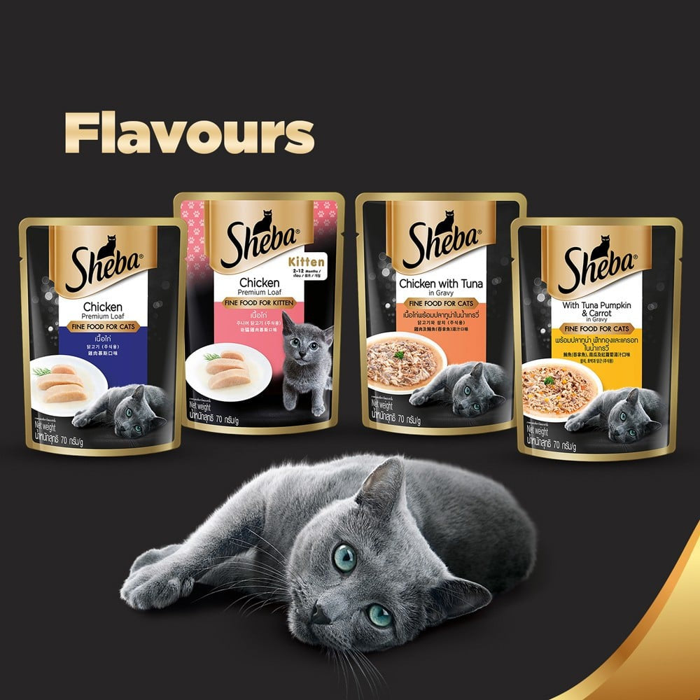 Sheba Adult Wet Cat Food, Chicken & Tuna In Gravy - Pack of 2 : 2 x 70 g