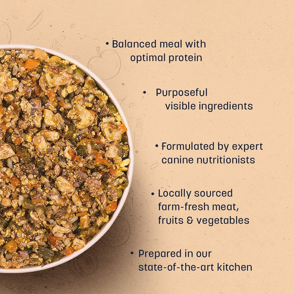 HUFT Sara's Wholesome Classic Chicken & Brown Rice Dog Food : 100 g