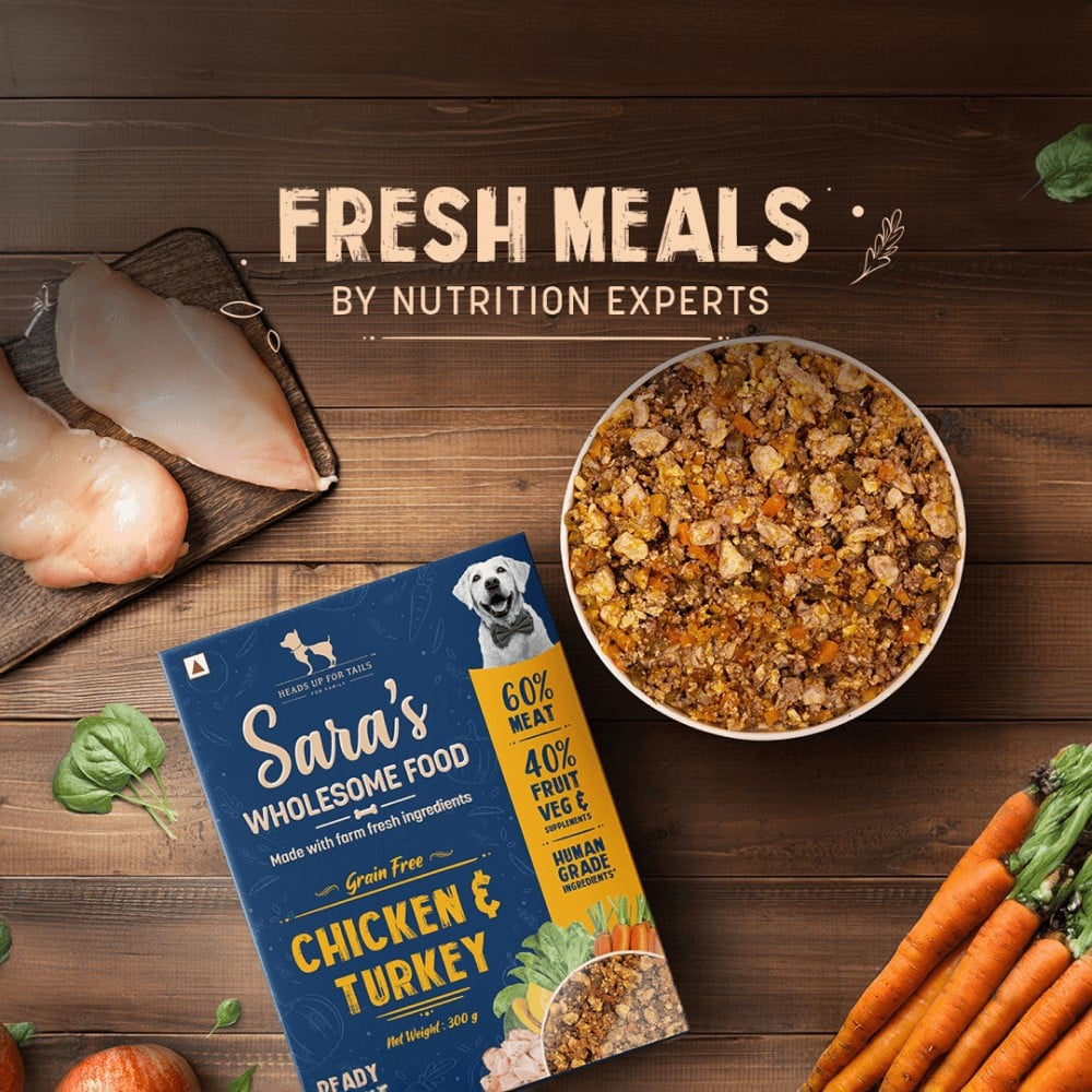 HUFT Sara's Wholesome Grain-Free Chicken & Turkey Dog Food - Pack of 3 : 3 x 100 g