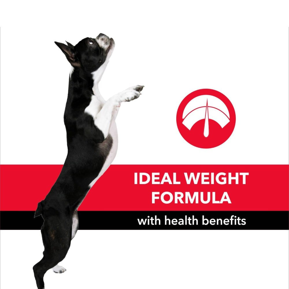 PurePet Meat & Rice Adult Dog Food : 10 kg