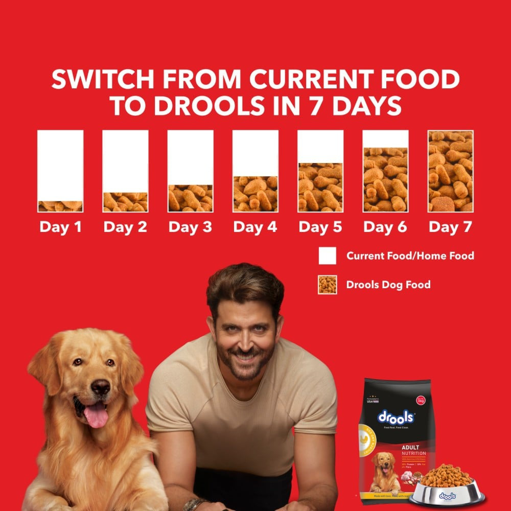 Drools Chicken & Egg Adult Dry Food - Free 1.2 kg : 3 kg + 1.2 kg