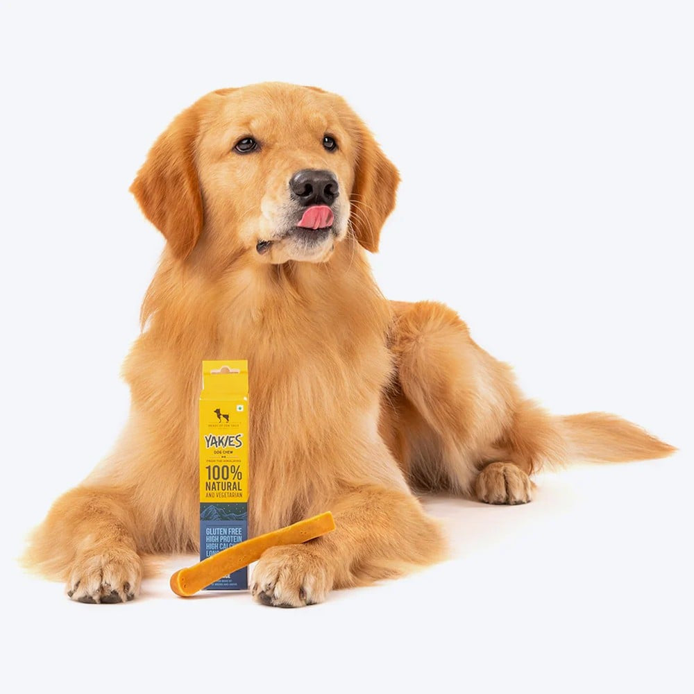 HUFT Yakies Chew Bone Dog Treat (Large, 12 weeks and above) - Pack of 3 : 3 x 85 g