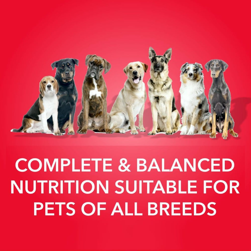 PurePet Meat & Rice Adult Dog Food : 10 kg