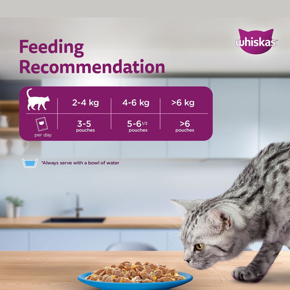 Whiskas Adult Wet Cat Food -Tuna in Jelly (1+ Years) - Pack of 2 : 2 x 14 x 80 g