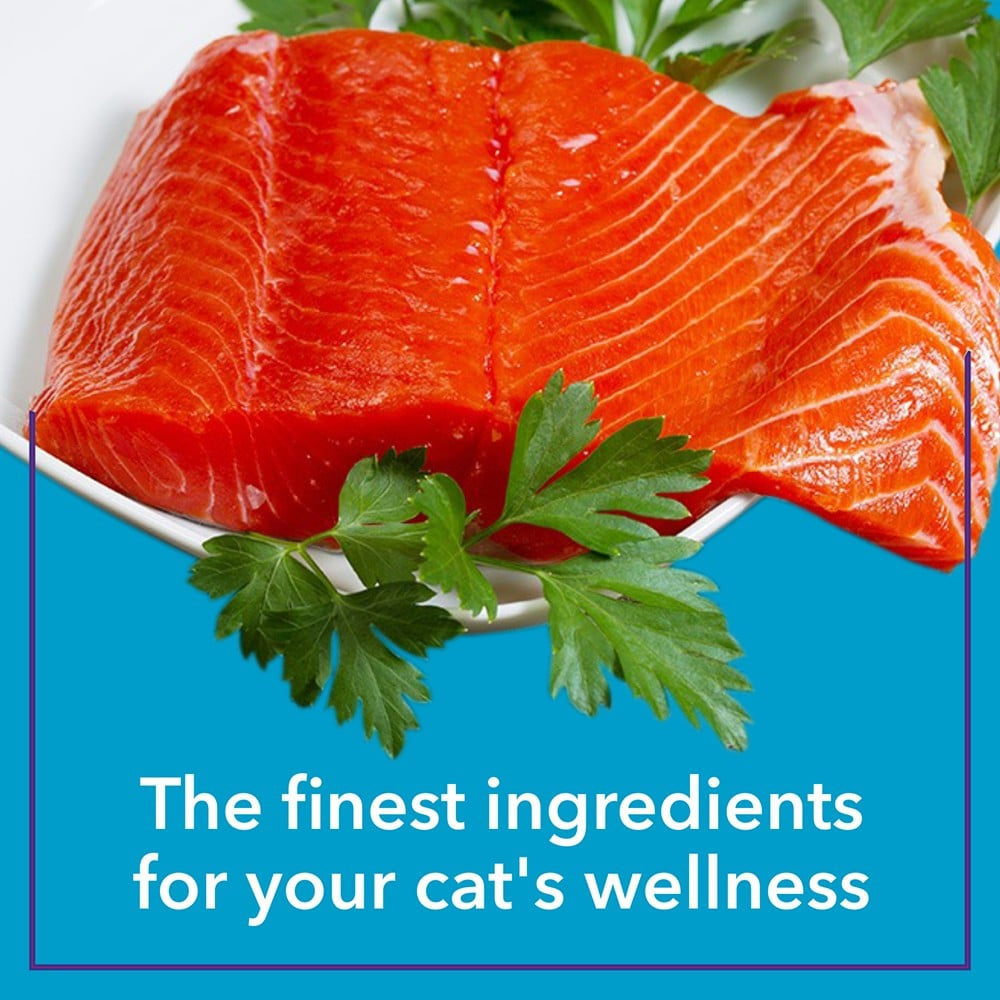 PurePet Wet Cat Food - Real Chicken and Chicken Liver in Gravy - All life stages : 50 g