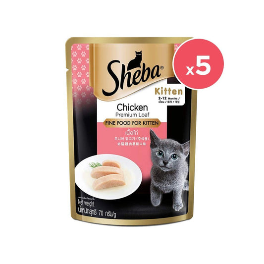 Sheba Premium Kitten Wet Wet Kitten Food, Chicken Loaf - Pack of 5 : 5 x 70 g