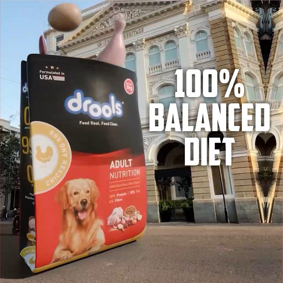 Drools Chicken & Egg Adult Dry Food - Free 1.2 kg : 3 kg + 1.2 kg